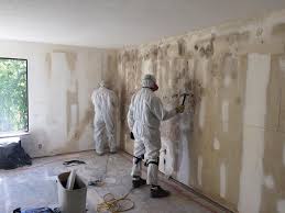 Best Comprehensive Air Testing for Mold Contaminants  in Inverness, FL